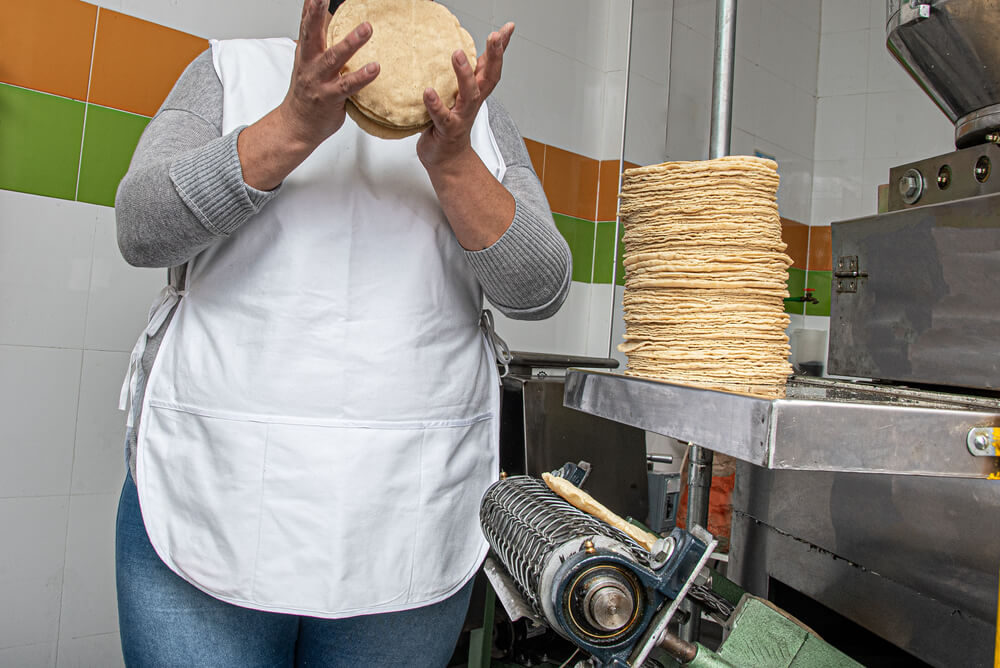 ¿Seguirá Aumentando El Precio Del Maíz Y De La Tortilla? ¿Qué Está ...