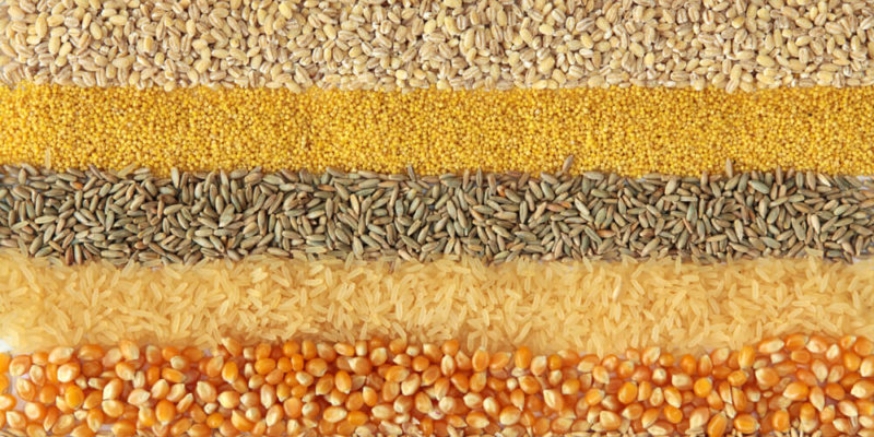 Cómo Impactará La Crisis Mundial De Cereales A Las Empresas Mexicanas