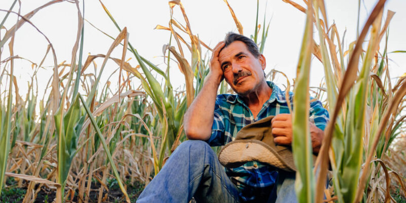 6 Estrategias Para Mitigar La Sequía En El Agro Mexicano