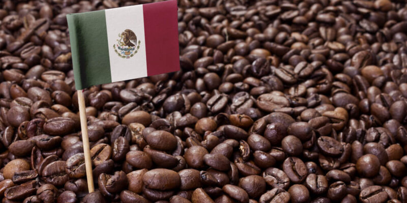 Estas Son Las Razones Por Las Que México Dejó De Exportar La Mitad De Su Café
