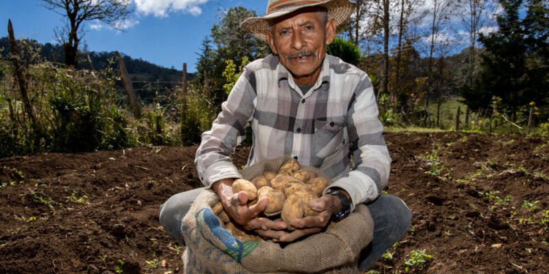 Los Agricultores Mexicanos Envejecen. ¿Quién Cultivará Nuestros Alimentos?