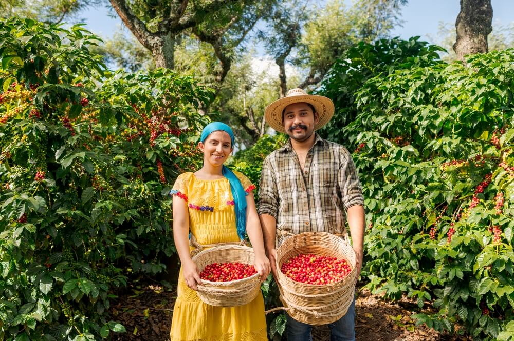 Colombian coffee price shot up 79%, what is happening?